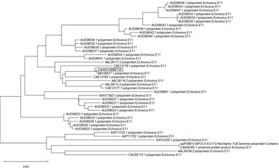 Risk factors and early markers for echovirus type 11 associated haemorrhage-hepatitis syndrome in neonates, a retrospective cohort study